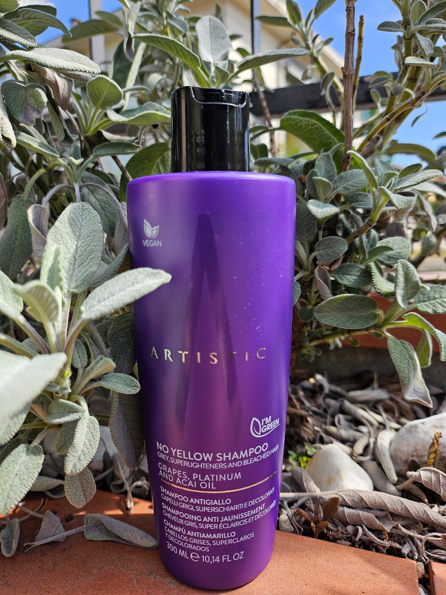 shampoo anti-giallo Artistic