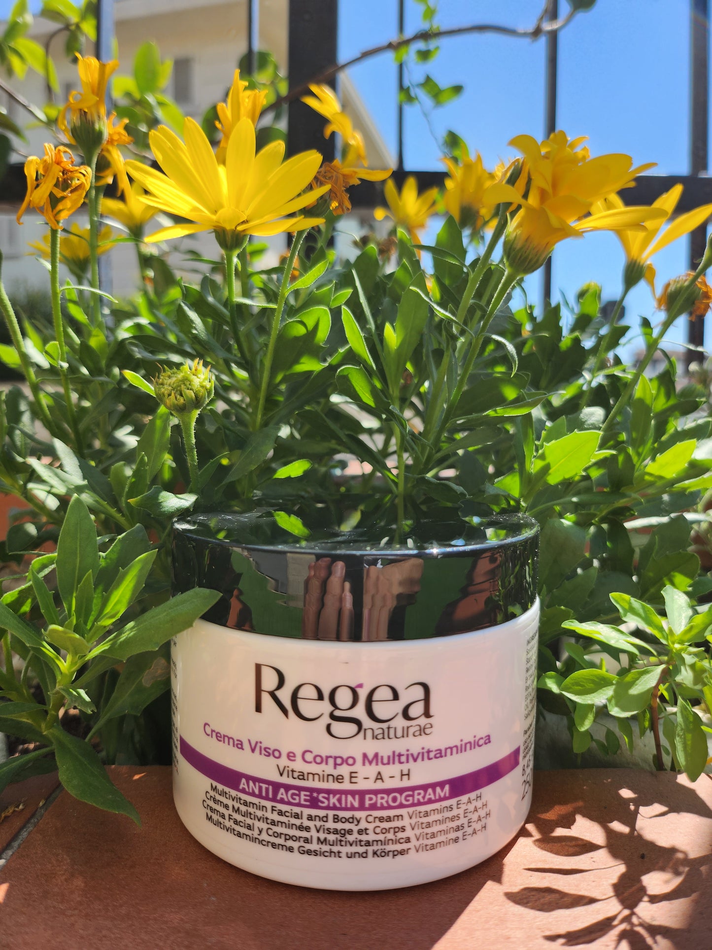 Crema Viso e Corpo MULTIVITAMINICA 250ml regea, per prevenire la perdita di elasticità giorno/notte.