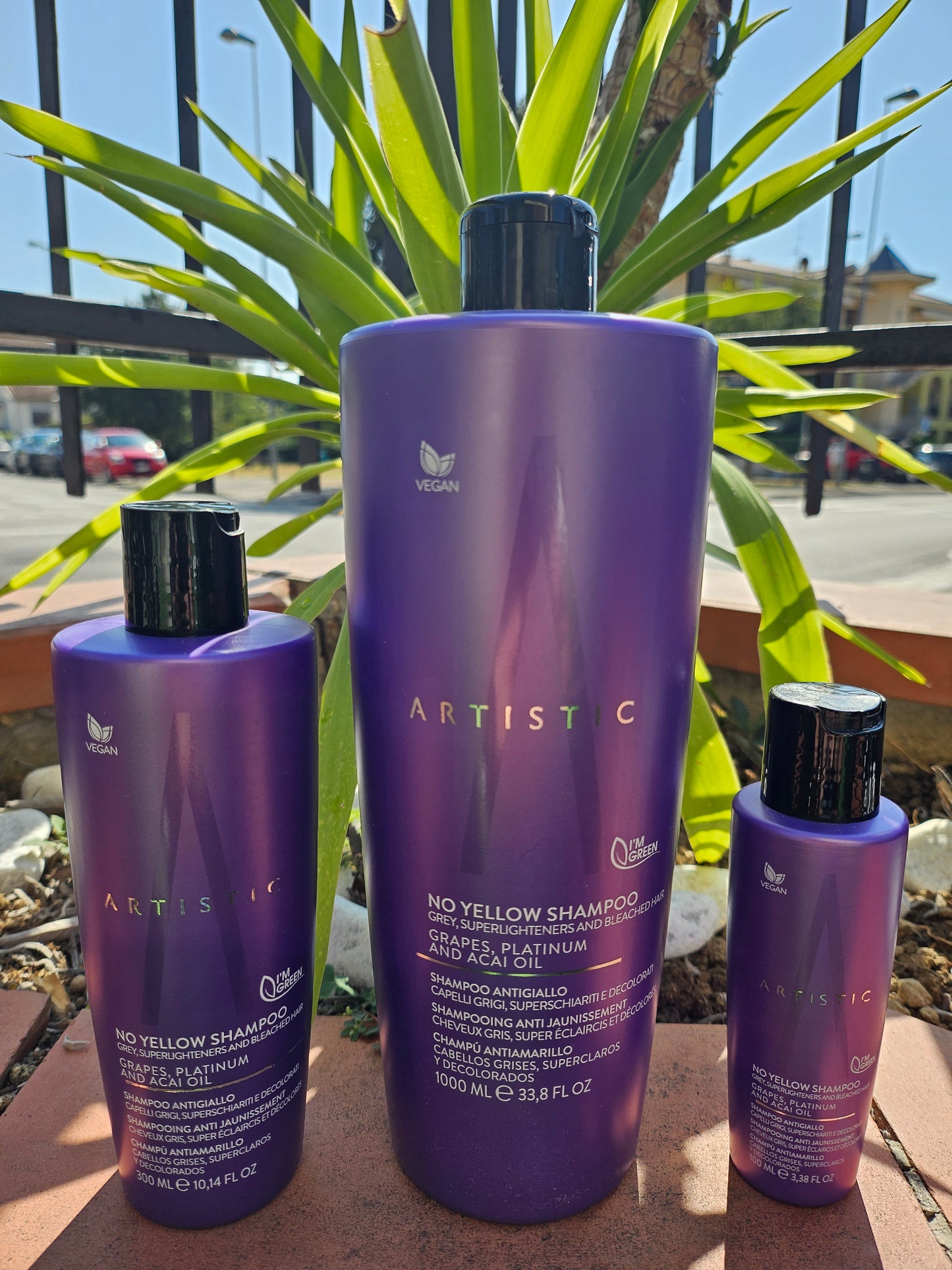 Shampoo anti-giallo Artistic