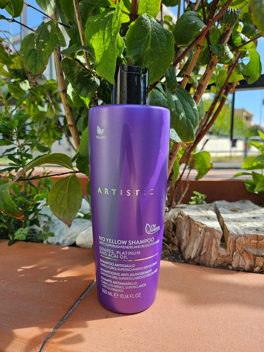 shampoo anti-giallo Artistic